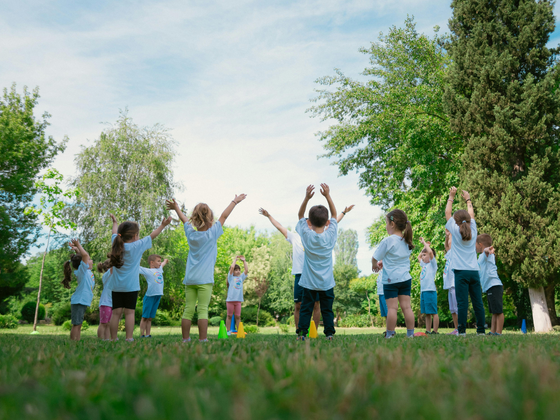 Curriculum Consultation